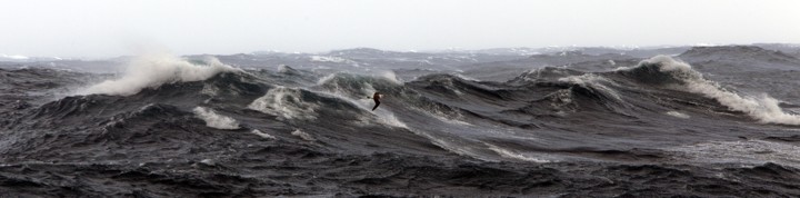 James Bendle. At some point the setting sun broke through and cast the waters in reds, purples and golds.